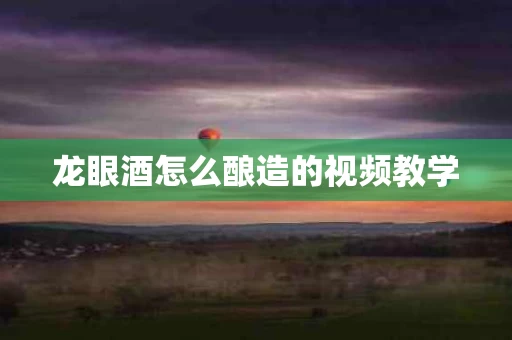 龙眼酒怎么酿造的视频教学