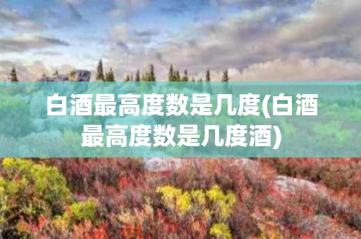 白酒最高度数是几度(白酒最高度数是几度酒)