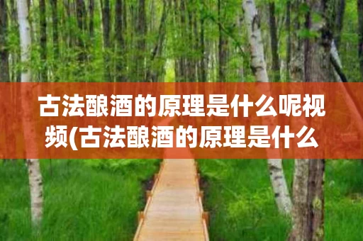 古法酿酒的原理是什么呢视频(古法酿酒的原理是什么呢视频教学)
