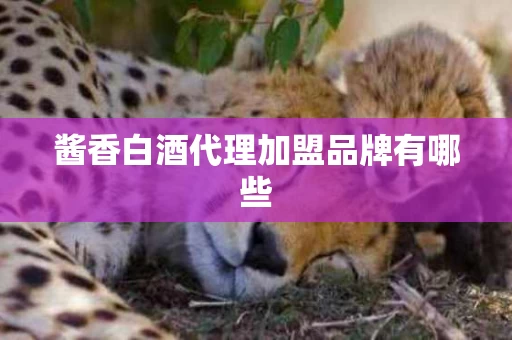 酱香白酒代理加盟品牌有哪些