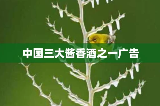 中国三大酱香酒之一广告