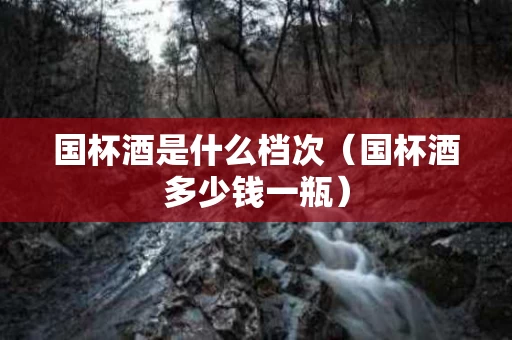 国杯酒是什么档次（国杯酒多少钱一瓶）