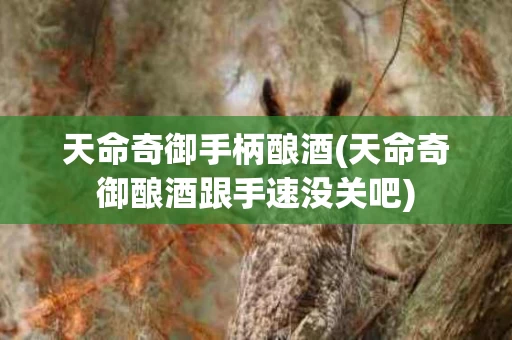 天命奇御手柄酿酒(天命奇御酿酒跟手速没关吧)