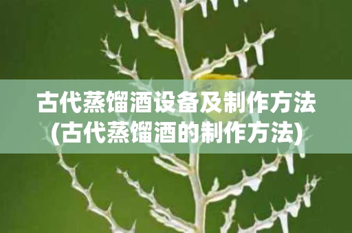 古代蒸馏酒设备及制作方法(古代蒸馏酒的制作方法)
