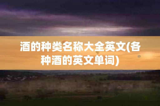 酒的种类名称大全英文(各种酒的英文单词)