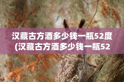 汉藏古方酒多少钱一瓶52度(汉藏古方酒多少钱一瓶52度价格)