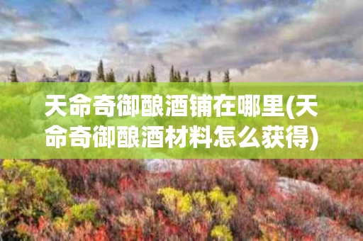 天命奇御酿酒铺在哪里(天命奇御酿酒材料怎么获得)
