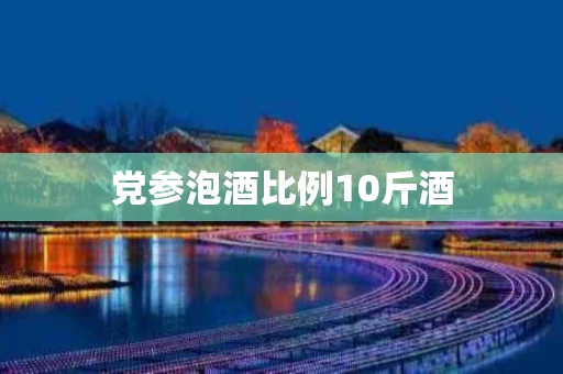 党参泡酒比例10斤酒