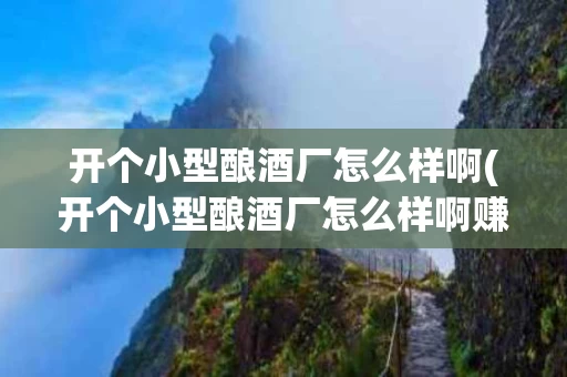 开个小型酿酒厂怎么样啊(开个小型酿酒厂怎么样啊赚钱吗)
