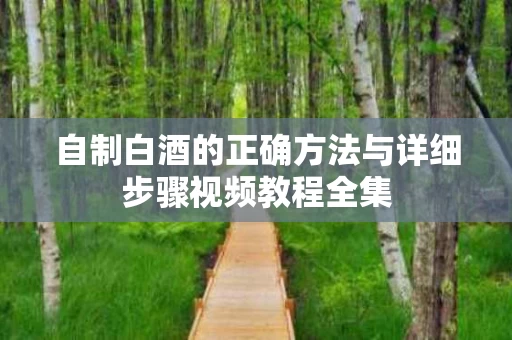 自制白酒的正确方法与详细步骤视频教程全集