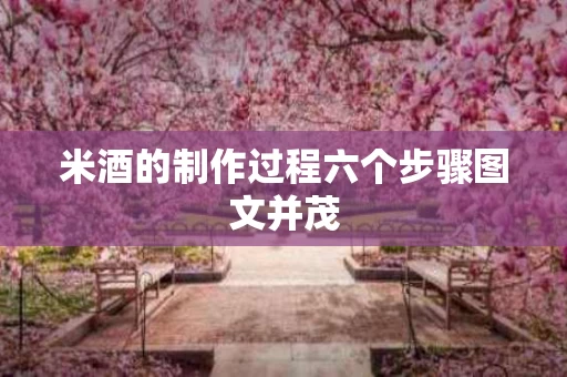 米酒的制作过程六个步骤图文并茂