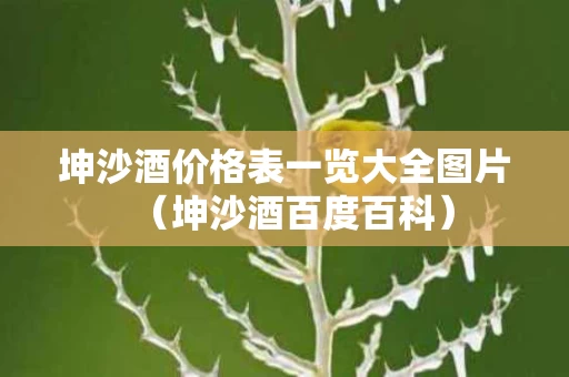 坤沙酒价格表一览大全图片（坤沙酒百度百科）
