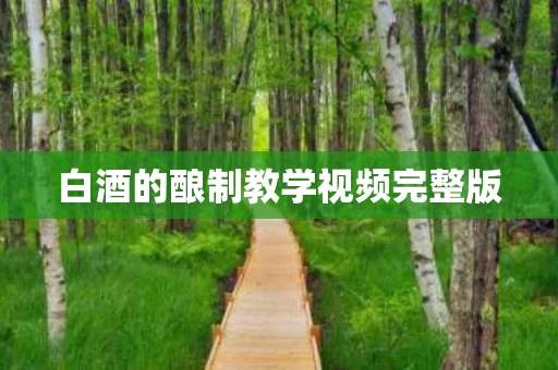 白酒的酿制教学视频完整版