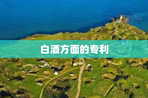 白酒方面的专利