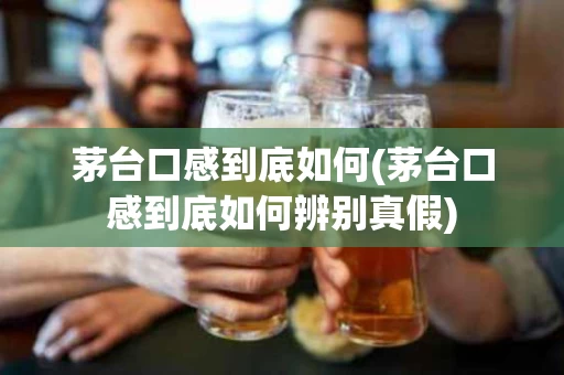 茅台口感到底如何(茅台口感到底如何辨别真假)