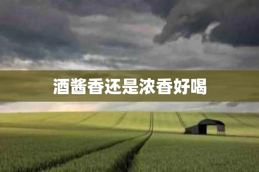 酒酱香还是浓香好喝