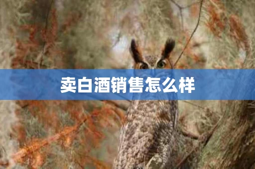 卖白酒销售怎么样