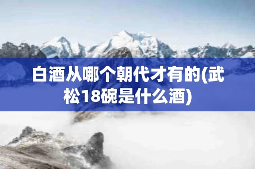 白酒从哪个朝代才有的(武松18碗是什么酒)