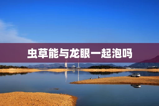 虫草能与龙眼一起泡吗