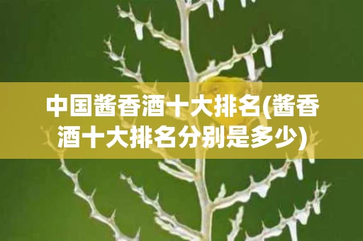 中国酱香酒十大排名(酱香酒十大排名分别是多少)