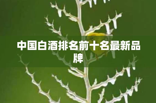 中国白酒排名前十名最新品牌