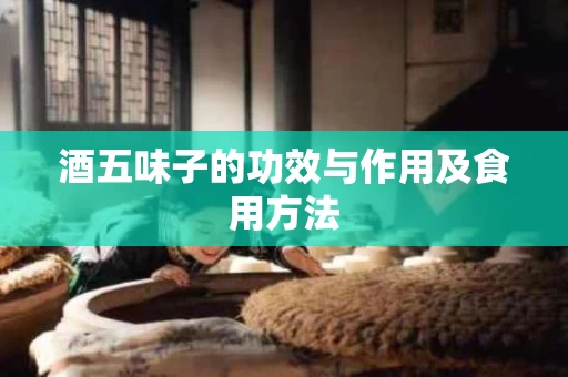 酒五味子的功效与作用及食用方法