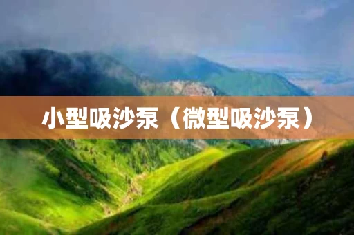 小型吸沙泵（微型吸沙泵）