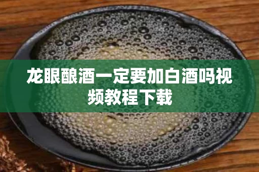 龙眼酿酒一定要加白酒吗视频教程下载