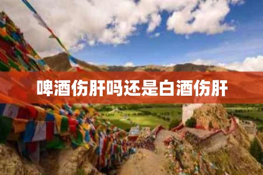 啤酒伤肝吗还是白酒伤肝