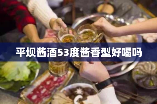 平坝酱酒53度酱香型好喝吗
