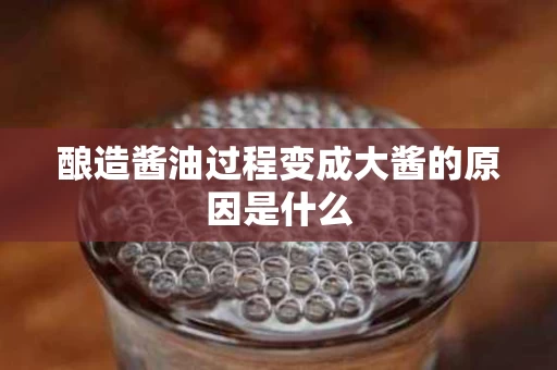 酿造酱油过程变成大酱的原因是什么