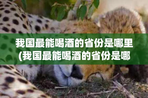 我国最能喝酒的省份是哪里(我国最能喝酒的省份是哪里呢)