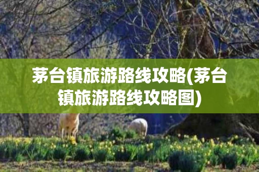 茅台镇旅游路线攻略(茅台镇旅游路线攻略图)
