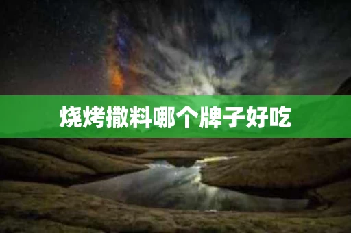 烧烤撒料哪个牌子好吃