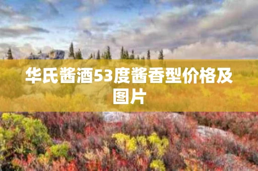 华氏酱酒53度酱香型价格及图片