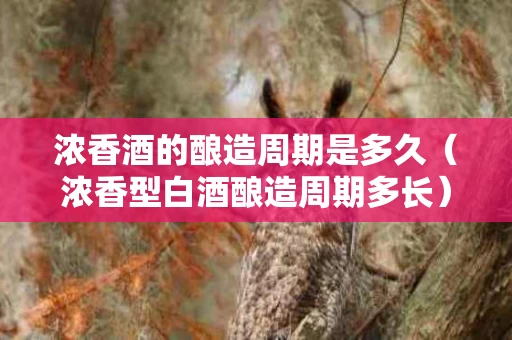 浓香酒的酿造周期是多久（浓香型白酒酿造周期多长）
