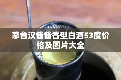 茅台汉酱酱香型白酒53度价格及图片大全