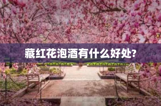 藏红花泡酒有什么好处?