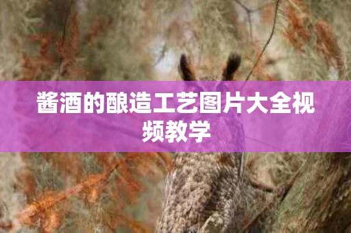 酱酒的酿造工艺图片大全视频教学