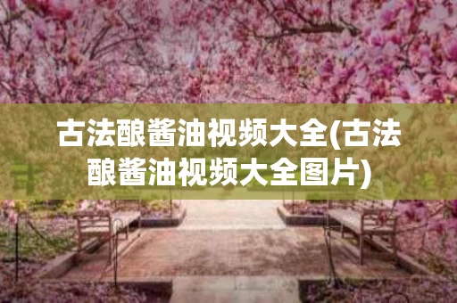 古法酿酱油视频大全(古法酿酱油视频大全图片)