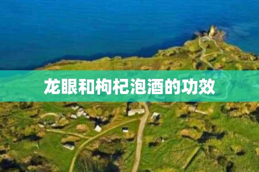 龙眼和枸杞泡酒的功效