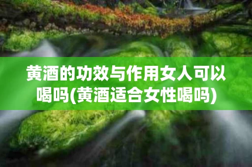 黄酒的功效与作用女人可以喝吗(黄酒适合女性喝吗)