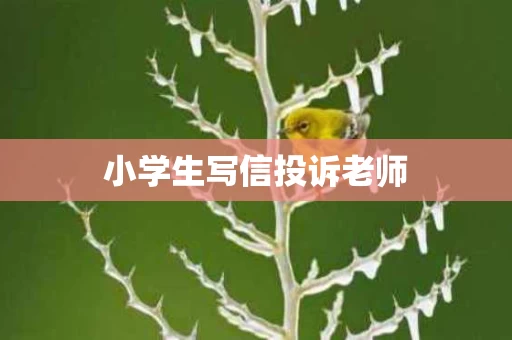 小学生写信投诉老师