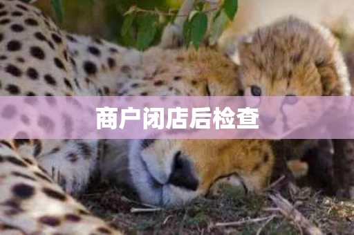 商户闭店后检查