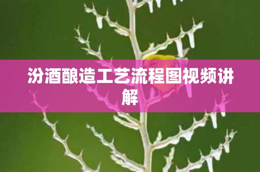 汾酒酿造工艺流程图视频讲解