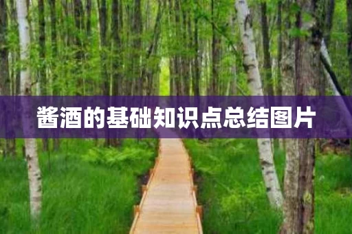 酱酒的基础知识点总结图片