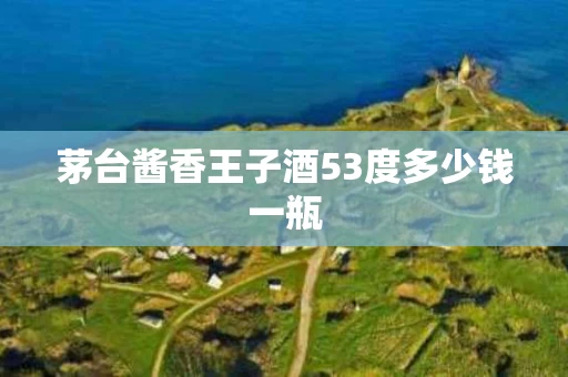 茅台酱香王子酒53度多少钱一瓶
