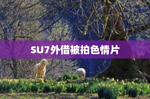 SU7外借被拍色情片