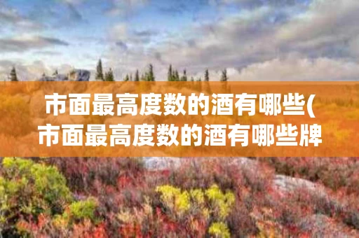 市面最高度数的酒有哪些(市面最高度数的酒有哪些牌子)