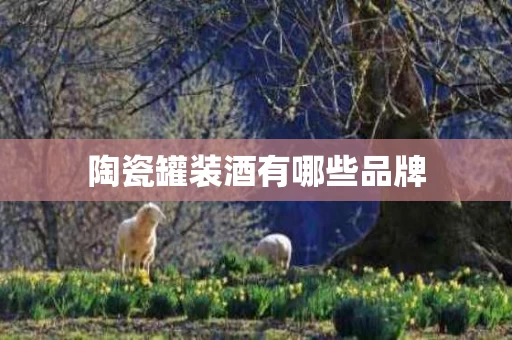 陶瓷罐装酒有哪些品牌